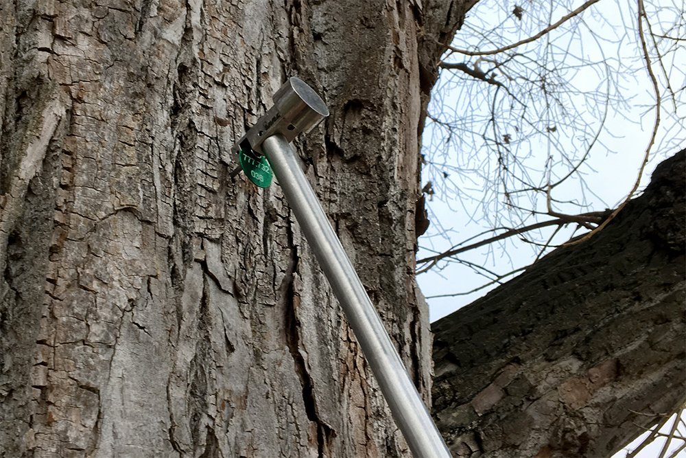 The city of Heidelberg about IML tree markers and suitable hammering tools