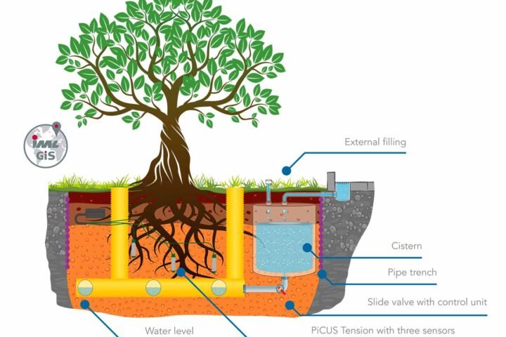 PiCUS Tension: Protecting Trees Effectively from Drought Stress